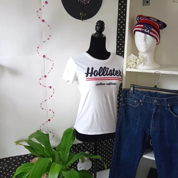 HOLLISTER easy embroidered graphic tee **eco-friendly** - Picture 1 of 7